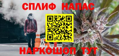 индика Пугачёв
