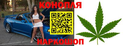 индика Пугачёв