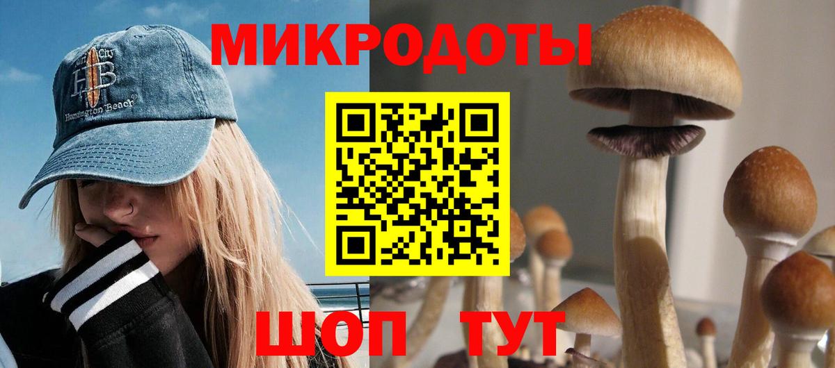 Псилоцибиновые грибы Psilocybe  Вход с VPN  Учалы 
